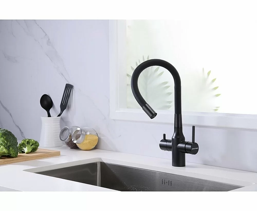 Смеситель для кухни Paulmark Salix Sa213419-BLM черный