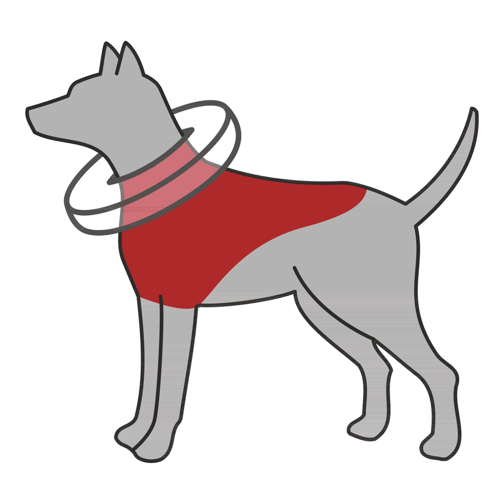 Защитный воротник для собак Trixie Protective Collar M