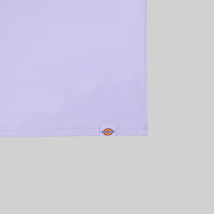 Футболка мужская Dickies Patrick Springs Tee артикул:DK0A4YR7H181 - купить в магазине Дайс