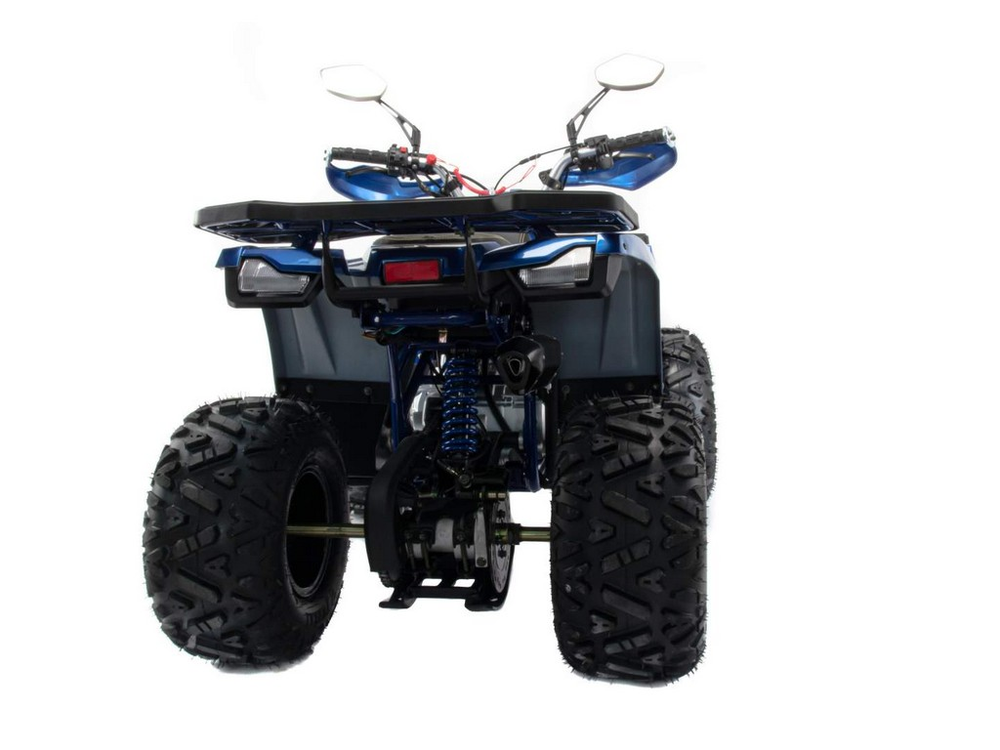 Квадроцикл MOTOLAND 125 WILD X PRO А