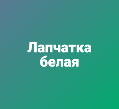 Лапчатка белая
