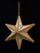 Винтажное украшение Сокровища Посейдона - Звезда 18х20 см., золото, 1 шт., ChristmasDe Luxe (89048)