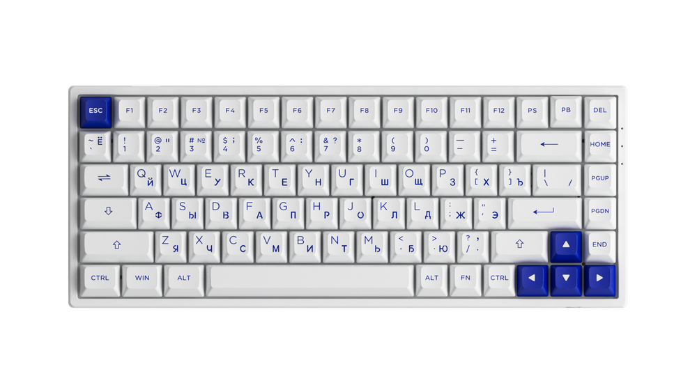 AKKO 3084B Plus Black&Gold 3 Modes RGB Hot Swap  V3 Cream Yellow Switch,ASA profile keycap