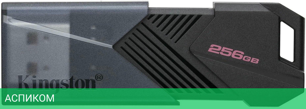 USB Flash-накопитель Kingston DataTraveler Exodia Onyx 256GB (DTXON/256GB)
