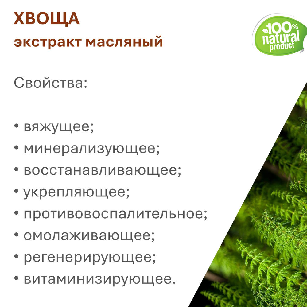 Экстракт хвоща, масляный