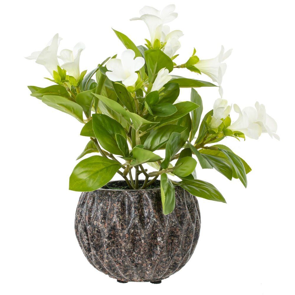 GAEM Цветочная композиция "Примула", L17 W17 H24 см