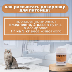 Прорентин порошок для поддержания функции почек у кошек и собак, порошок для приема внутрь, 60 г. Хитозан.