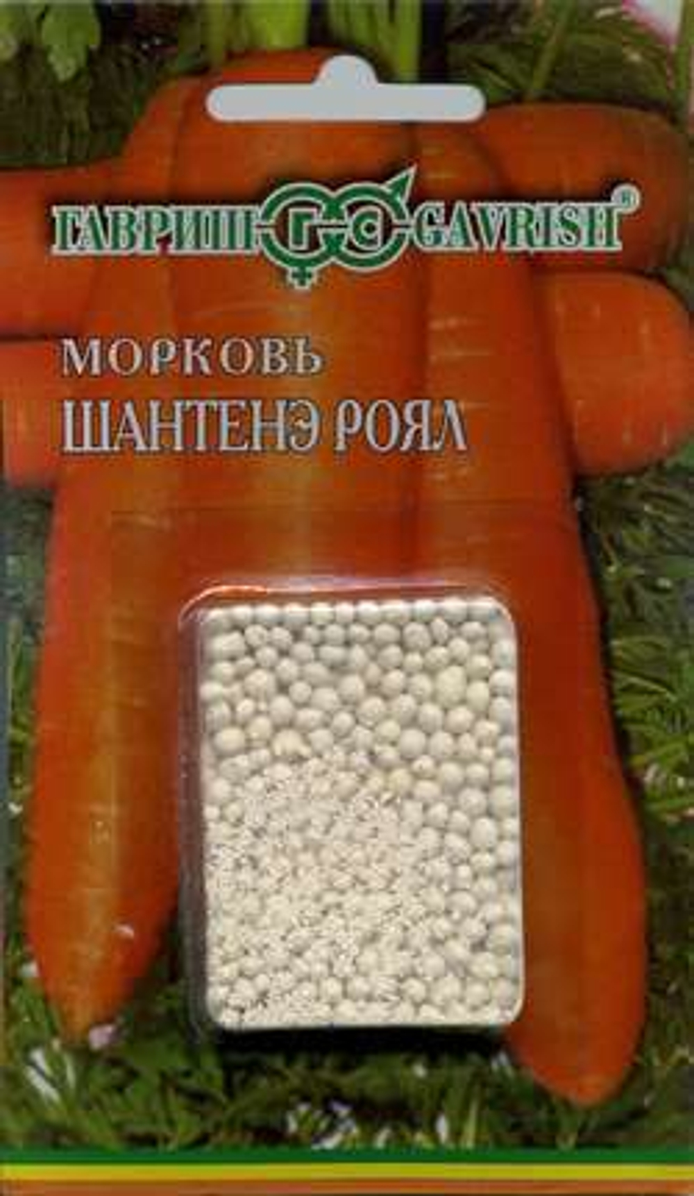 10003979_mini4