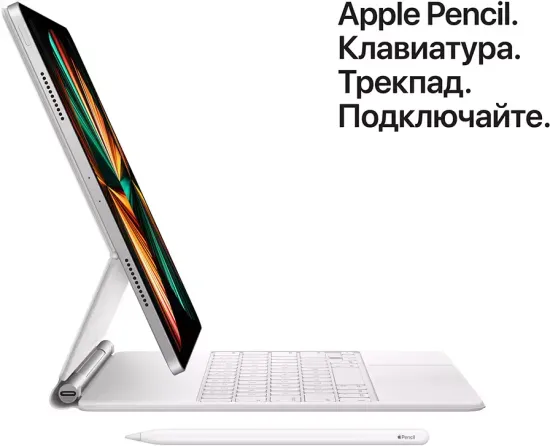 Apple iPad Pro (2021) 12,9" Wi-Fi + Cellular 2 ТБ, серебристый