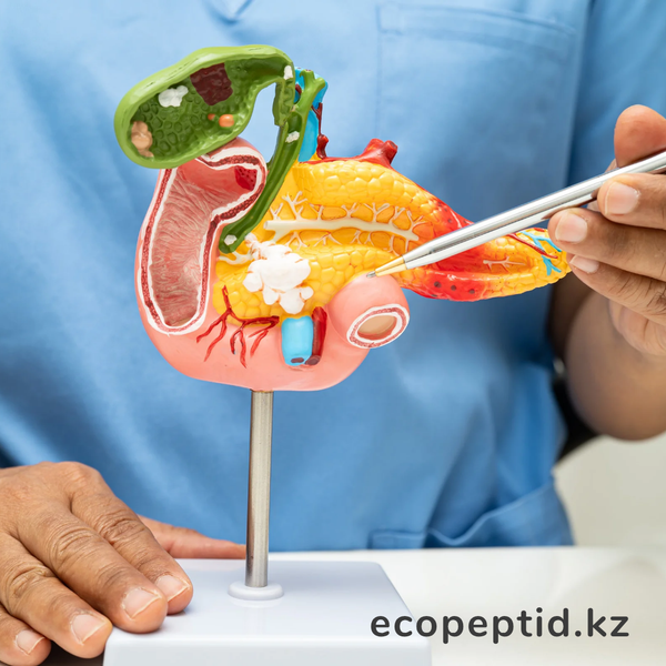 ПАНКРЕАТИТ. Что нужно знать?