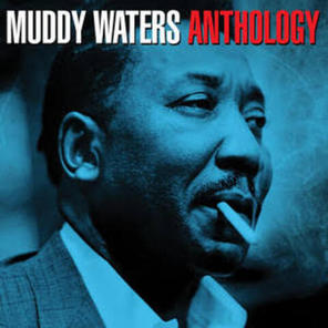 Muddy Waters / Anthology (3CD)