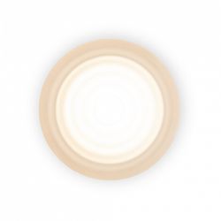 Накладной светильник Freya Retro FR5603WL-L8W1