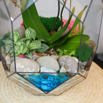 Готовый флорариум с пурпурной орхидеей Цефей с озером