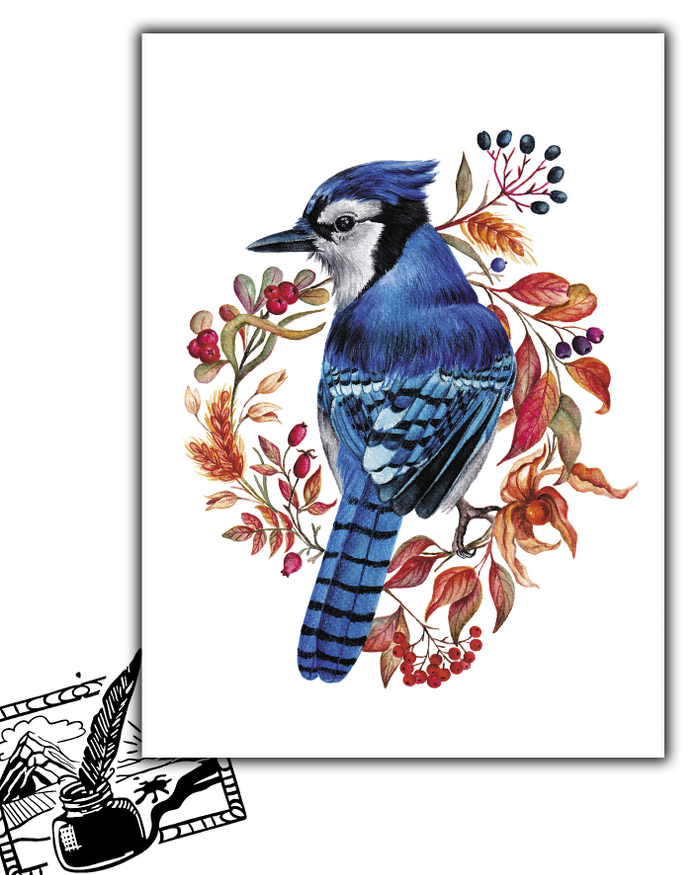 Открытка почтовая. Колесникова Екатерина. Осенняя сойка