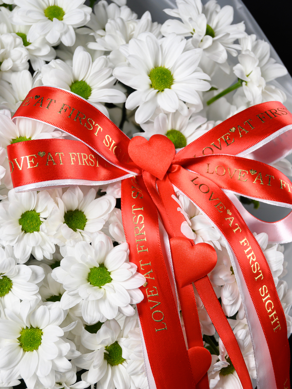 Моя Любовь 11