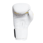 Боксерские перчатки StormCloud Boxing Pro белые