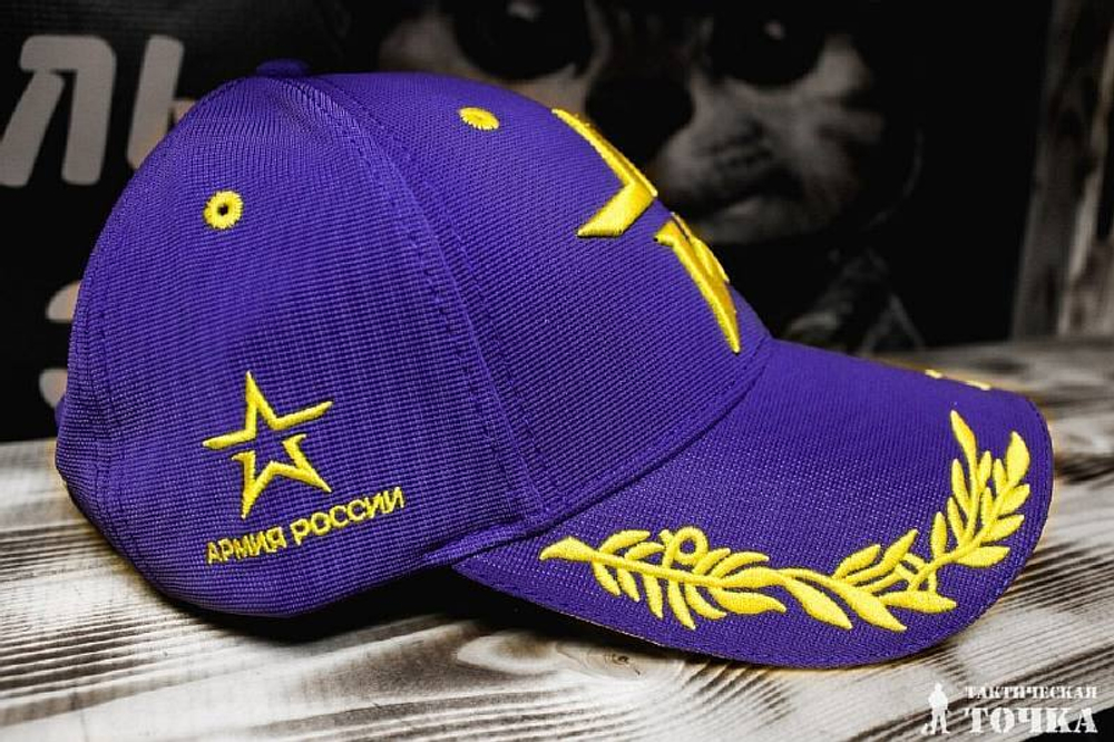 Бейсболка Армия России синяя Воздушно-космические войска
