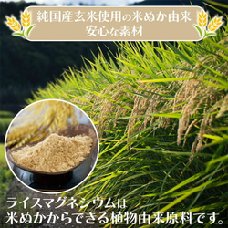 🌿 Магний из бурого риса Nichiga — натуральная пищевая форма магния с высокой биодоступностью