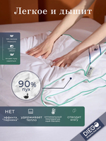 Одеяло пуховое лёгкое Летний сон Евро 200х200