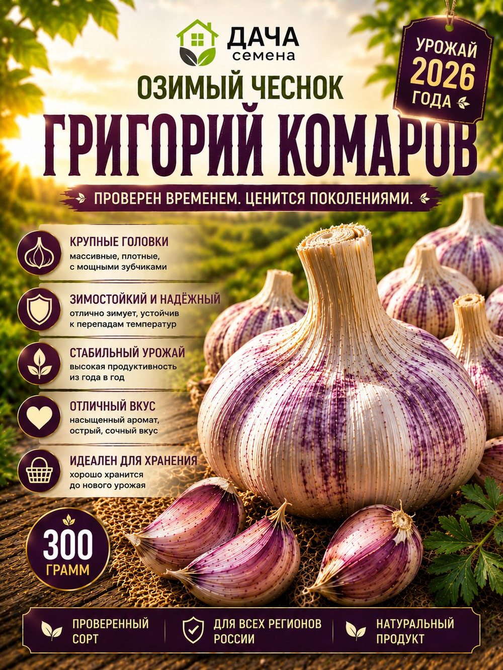 Семенной чеснок Григорий Комаров 300 г, озимый, посадочный материал для посадки, урожайный сорт
