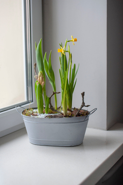 Весенняя композиция №11