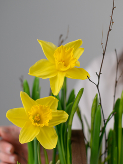 Лесная полянка