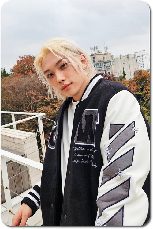 Карта / STRAY KIDS #0758