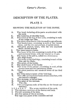 Practical Horse Farrier | William Carver