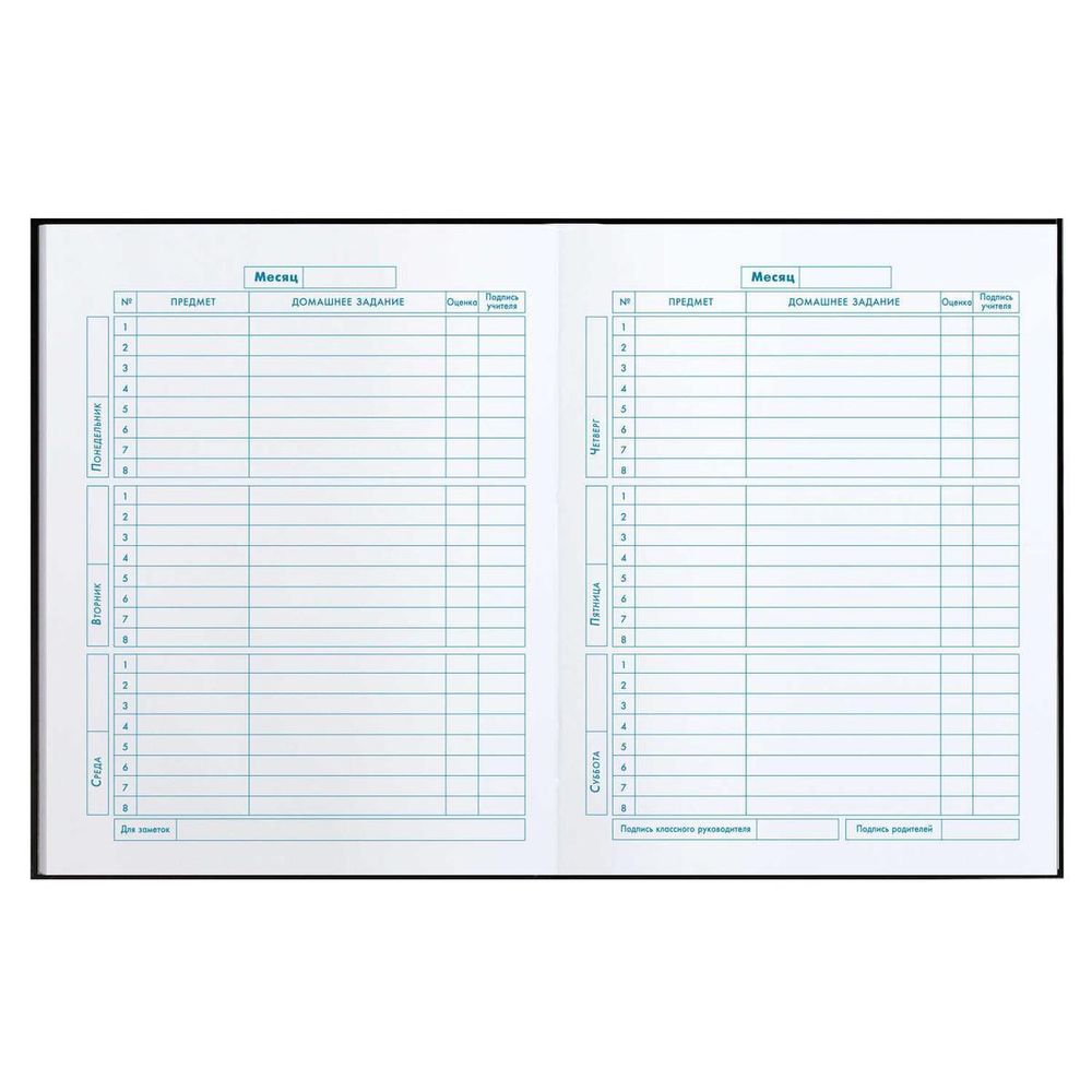 Дневник школьный 1-4 класс 48л "Гонки" (Феникс+)