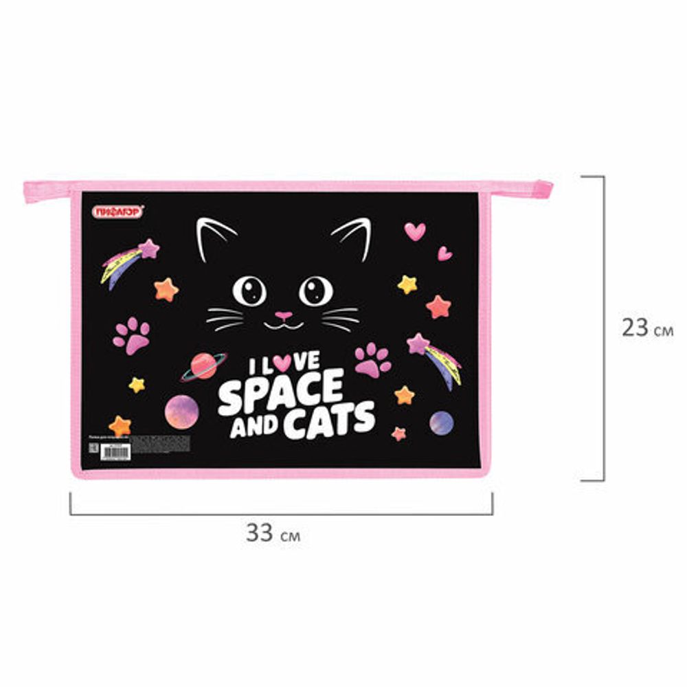 Папка для тетрадей ПИФАГОР А4, 1 отделение, картон/пластик, на молнии, "Dark kitten", 273339