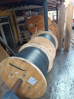 Комплект IP-видеонаблюдения в лифте LiftVision-60-FRLS до 17 этажей без видеокамеры