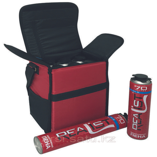 Термосумка REALIST mini (на 6 балонов+зарядка для авто)