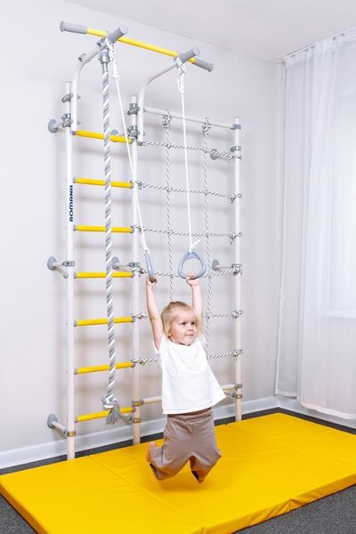 Какие игры и упражнения можно проводить на шведских стенках? Какие игры и упражнения можно проводить на шведских стенках?