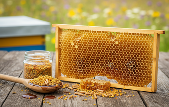 Перга: природный биологически активный продукт и его значение для здоровья