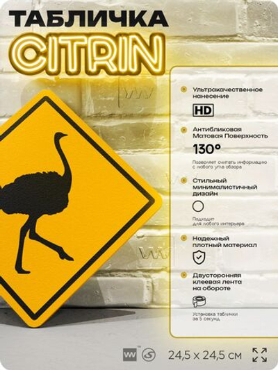 Табличка прикольная "Осторожно, страусы" на дверь и стену, информационная и предупреждающая, декоративный знак, 24,5х24,5 см, пластиковая, Айдентика Технолоджи