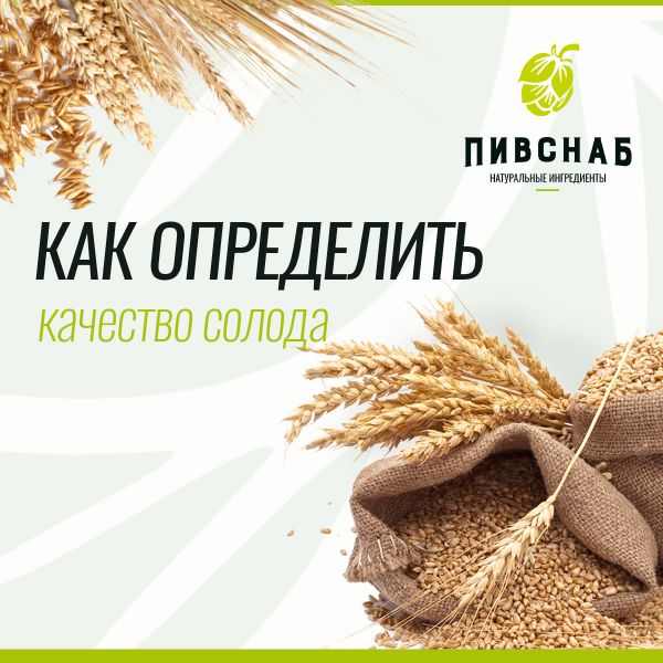 Как определить качество солода?