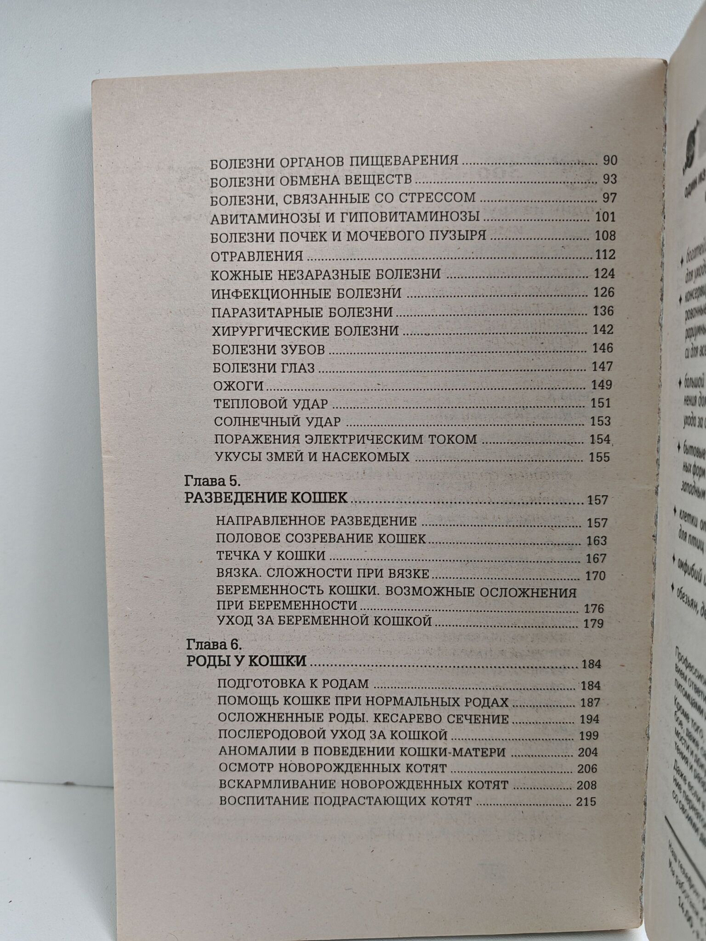 Кошка в доме