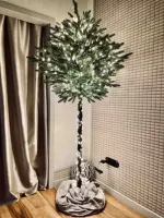 ель "Торшер" на длинной ножке/стволе