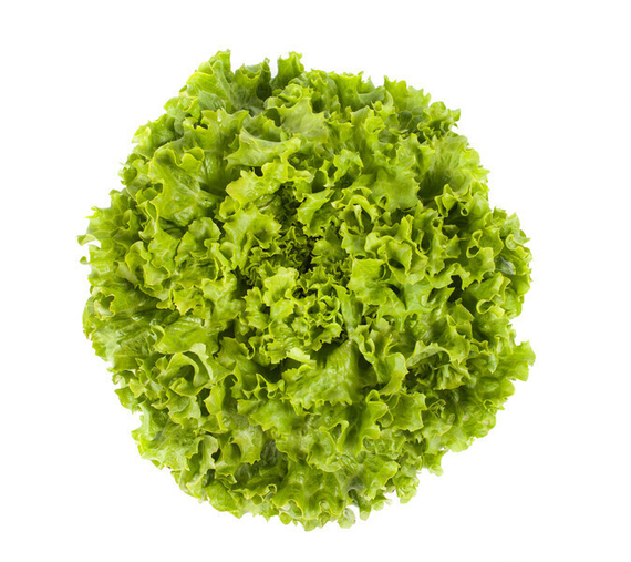 ОТИЛИ семена салата Rijk Zwaan купить – фото 1