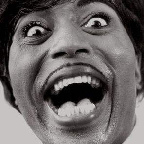 Little Richard / Mono Box: The Complete Specialty And Vee-Jay Albums (5LP)
