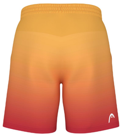 Теннисные шорты Head Power II