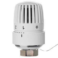 Термоголовка жидкостная Royal Thermo BASIC с выносным датчиком М30х1,5