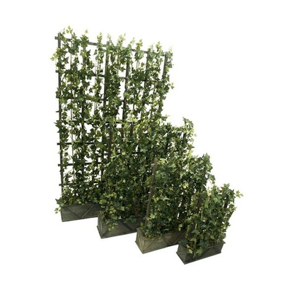 Композиция и плюща 100х160 см [Арт. 3692826]