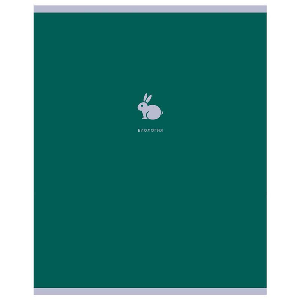 Тетрадь предметная А5 48л. "Monocolor. Element. Биология" (BG)