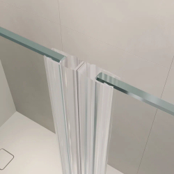 Душевая дверь RGW LE-009 (LE-004 + Z-09+профиль A-14) (Прозрачное, 1500)