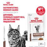 Royal Canin Gastrointestinal Moderate Calorie Гастроинтестинал Модерейт Кэлори Корм влажный диета для кошек склонных к набору веса соус 85г