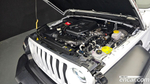 Jeep Wrangler (JL) 2.0 Sports 4 даери Islander Editions (09.2021)