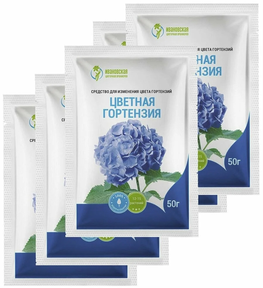 ЦВЕТНАЯ ГОРТЕНЗИЯ