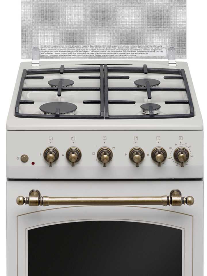 Газовая плита Hansa FCGY52109