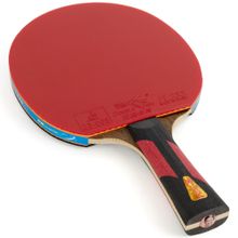Ракетка для настольного тенниса DOUBLE FISH 7A+C, ITTF Approved, + 2 мяча